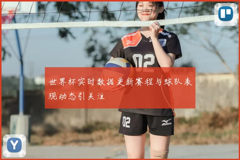 世界杯实时数据更新赛程与球队表现动态引关注