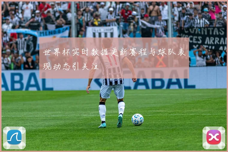 世界杯实时数据更新赛程与球队表现动态引关注