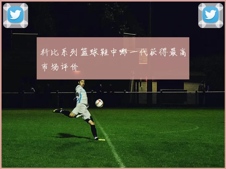 科比系列篮球鞋中哪一代获得最高市场评价