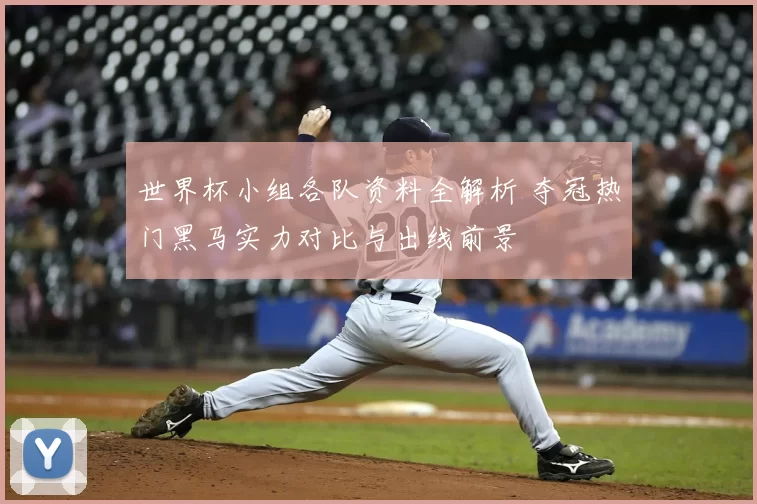 世界杯小组各队资料全解析 夺冠热门黑马实力对比与出线前景