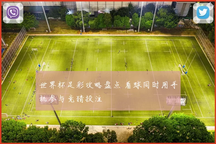 世界杯足彩攻略盘点 看球同时用手机参与竞猜投注