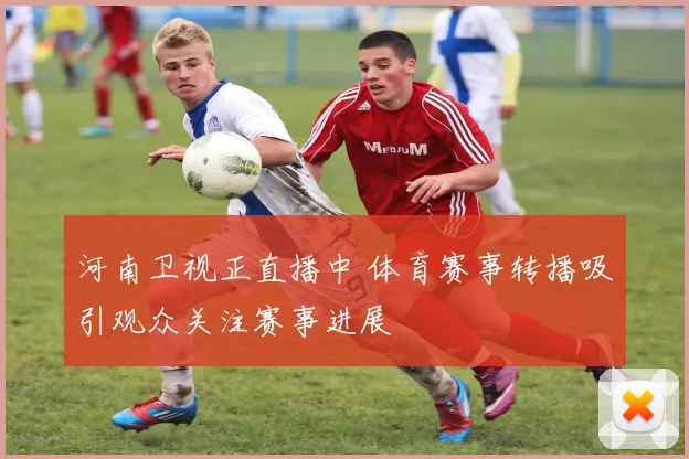 河南卫视正直播中 体育赛事转播吸引观众关注赛事进展