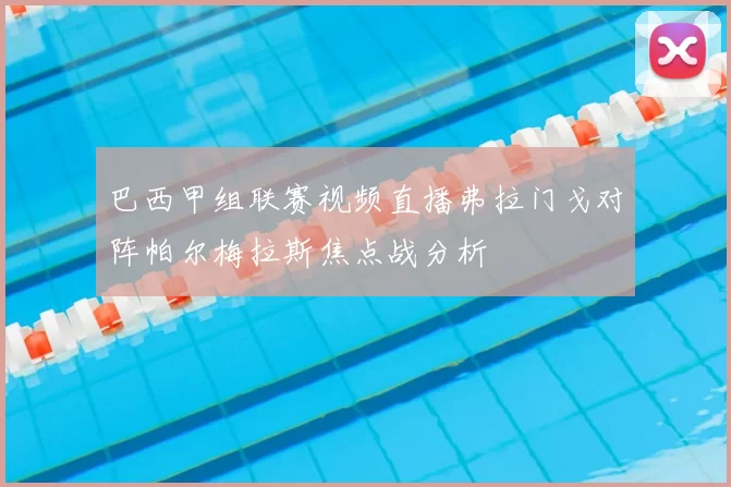 巴西甲组联赛视频直播弗拉门戈对阵帕尔梅拉斯焦点战分析